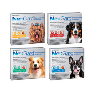 Nexgard Antipasitario Perro 3 Comprimidos