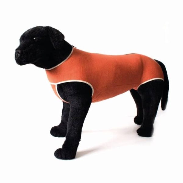 Body Castracion Unisex Con Cobre Perro Gato Talla 0 15 A 25kg