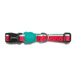 Zeedog Lola Collar Perro 4