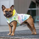 Gfpet Impermeable Reversible Perro Neon Yelow 5