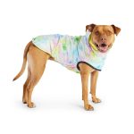 Gfpet Impermeable Reversible Neon Yelow Small 3