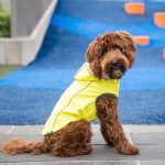 Gfpet Impermeable Reversible Neon Yelow Small 4