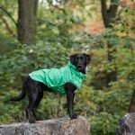 Gfpet Impermeable Reversible Verde Small 6