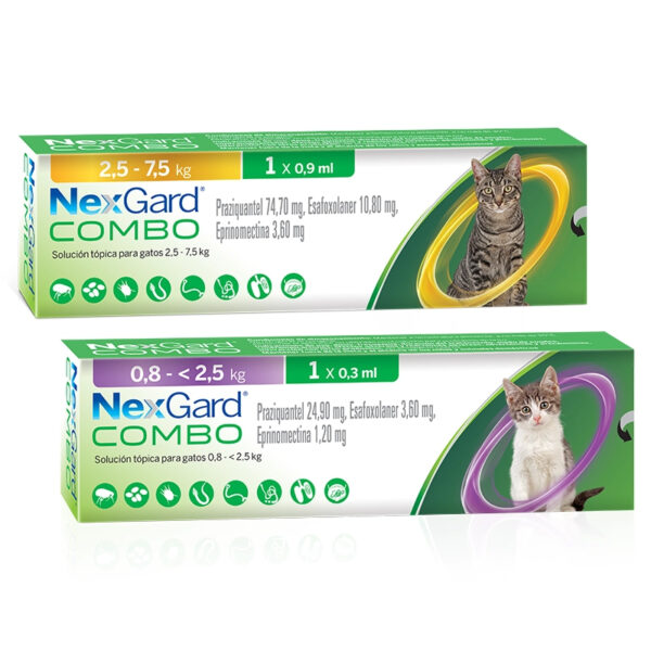 Nexgard Combo Pipeta Gato 3