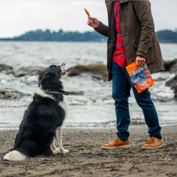 Bayts Snack Liofilizado Aletas de Salmon Perro 100gr