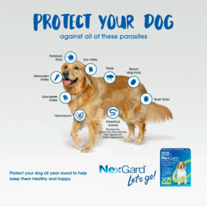 Nexgard Protect