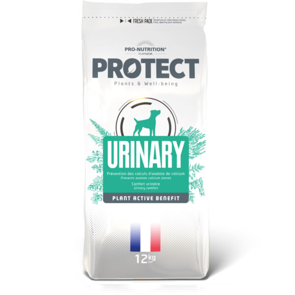 Protect Alimento Dermato Canino 12kg 3