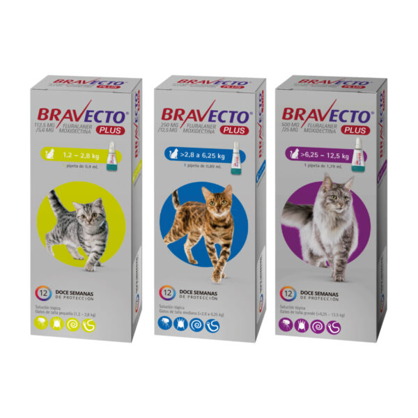 Bravecto 12 Semanas Gato 6.25 a 12.5Kg - Imagen 2