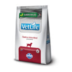 Vet Life Gastrointestinal Perro 2Kg