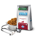 Vet Life Gastrointestinal Perro 2Kg - Imagen 2
